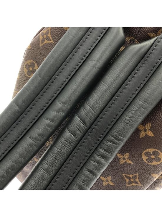 Louis Vuitton Monogram Palm Springs Backpack PM main image 4